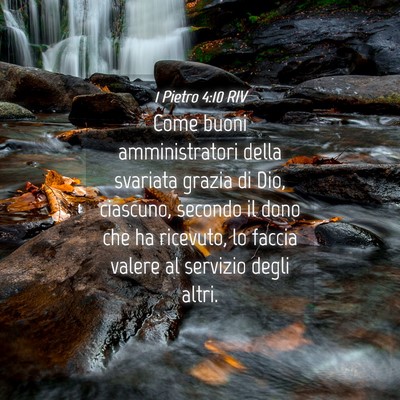 Picture 04 - 1 Pietro 4:10 RIV - Come buoni amministratori della svariata grazia - Bible Verse Picture