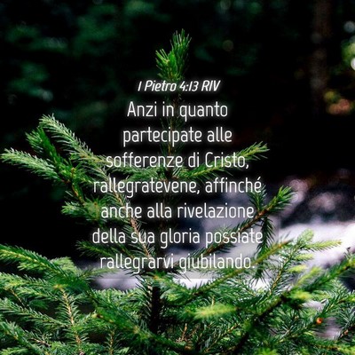 Picture 04 - 1 Pietro 4:13 RIV - Anzi in quanto partecipate alle sofferenze di - Bible Verse Picture