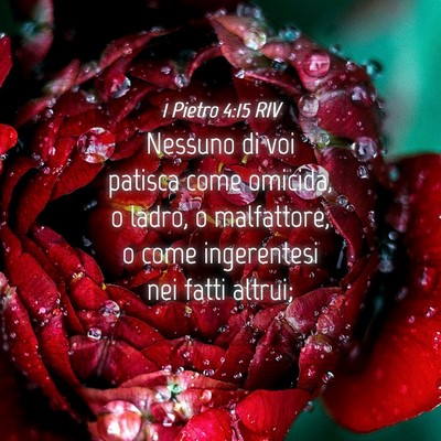 Picture 04 - 1 Pietro 4:15 RIV - Nessuno di voi patisca come omicida, o ladro, o - Bible Verse Picture