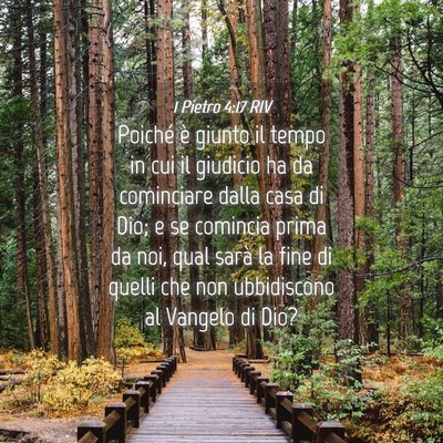 Picture 04 - 1 Pietro 4:17 RIV - Poiché è giunto il tempo in cui il giudicio ha - Bible Verse Picture