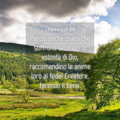 Picture 04 - 1 Pietro 4:19 RIV - Perciò anche quelli che soffrono secondo la - Bible Verse Picture
