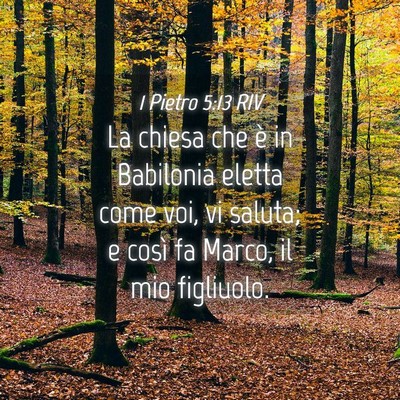 Picture 04 - 1 Pietro 5:13 RIV - La chiesa che è in Babilonia eletta come voi, vi - Bible Verse Picture