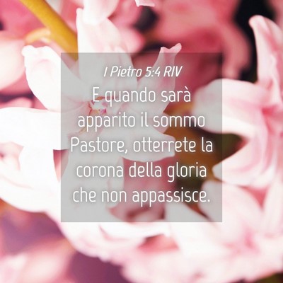 Picture 04 - 1 Pietro 5:4 RIV - E quando sarà apparito il sommo Pastore, - Bible Verse Picture
