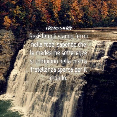 Picture 04 - 1 Pietro 5:9 RIV - Resistetegli stando fermi nella fede, sapendo che - Bible Verse Picture