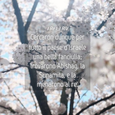 Picture 04 - 1 Re 1:3 RIV - Cercaron dunque per tutto il paese d’Israele - Bible Verse Picture