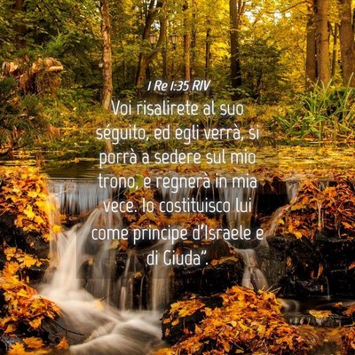 Picture 04 - 1 Re 1:35 RIV - Voi risalirete al suo séguito, ed egli verrà, - Bible Verse Picture
