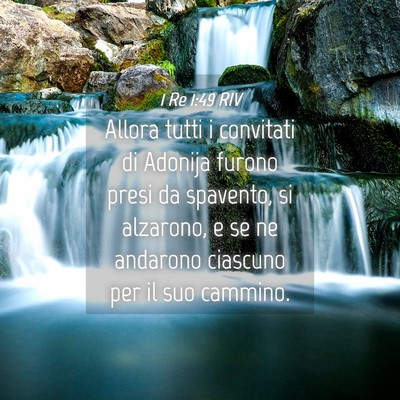 Picture 04 - 1 Re 1:49 RIV - Allora tutti i convitati di Adonija furono presi - Bible Verse Picture