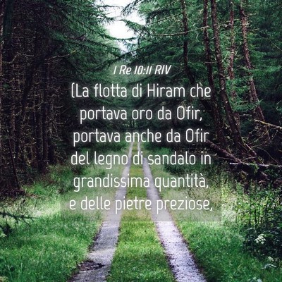 Picture 04 - 1 Re 10:11 RIV - (La flotta di Hiram che portava oro da Ofir, - Bible Verse Picture