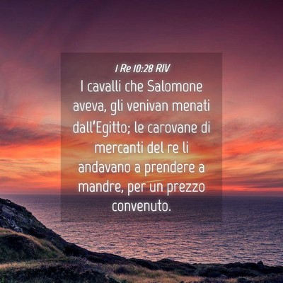Picture 04 - 1 Re 10:28 RIV - I cavalli che Salomone aveva, gli venivan menati - Bible Verse Picture