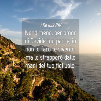 Picture 04 - 1 Re 11:12 RIV - Nondimeno, per amor di Davide tuo padre, io non - Bible Verse Picture
