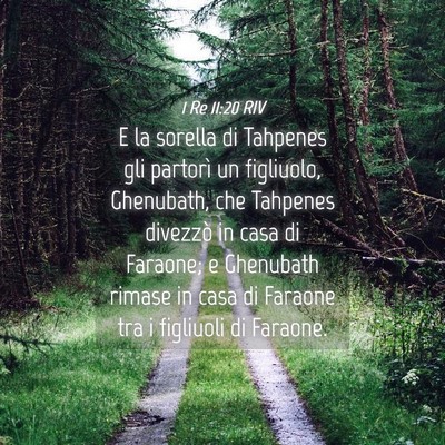 Picture 04 - 1 Re 11:20 RIV - E la sorella di Tahpenes gli partorì un - Bible Verse Picture