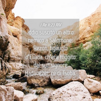 Picture 04 - 1 Re 11:23 RIV - Iddio suscitò un altro nemico a Salomone: Rezon, - Bible Verse Picture