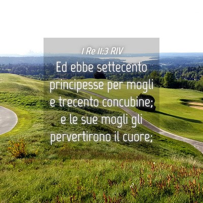 Picture 04 - 1 Re 11:3 RIV - Ed ebbe settecento principesse per mogli e - Bible Verse Picture
