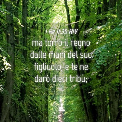Picture 04 - 1 Re 11:35 RIV - ma torrò il regno dalle mani del suo figliuolo, - Bible Verse Picture