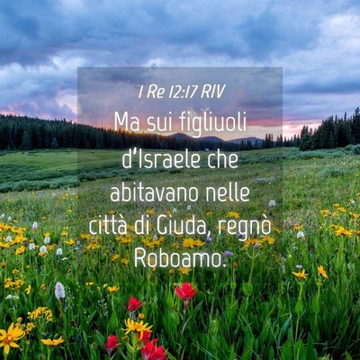 Picture 04 - 1 Re 12:17 RIV - Ma sui figliuoli d’Israele che abitavano nelle - Bible Verse Picture