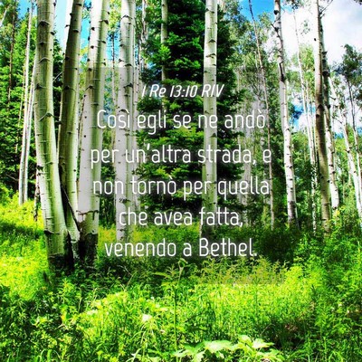 Picture 04 - 1 Re 13:10 RIV - Così egli se ne andò per un’altra strada, e - Bible Verse Picture