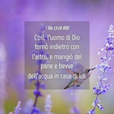 Picture 04 - 1 Re 13:19 RIV - Così, l’uomo di Dio tornò indietro con - Bible Verse Picture