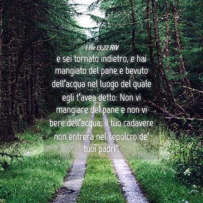 Picture 04 - 1 Re 13:22 RIV - e sei tornato indietro, e hai mangiato del pane e - Bible Verse Picture