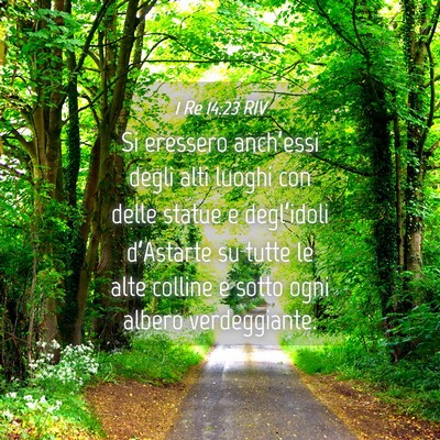 Picture 04 - 1 Re 14:23 RIV - Si eressero anch’essi degli alti luoghi con - Bible Verse Picture