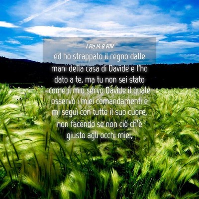Picture 04 - 1 Re 14:8 RIV - ed ho strappato il regno dalle mani della casa di - Bible Verse Picture