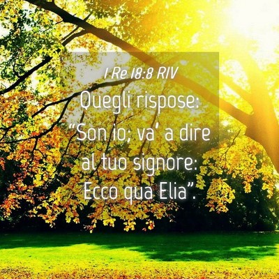 Picture 04 - 1 Re 18:8 RIV - Quegli rispose: “Son io; va’ a dire al tuo - Bible Verse Picture
