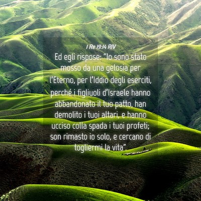 Picture 04 - 1 Re 19:14 RIV - Ed egli rispose: “Io sono stato mosso da una - Bible Verse Picture