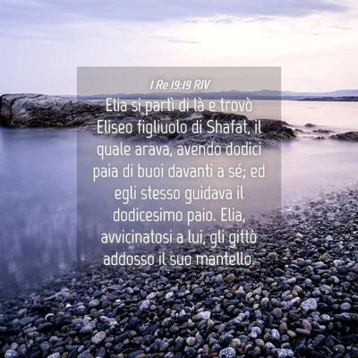 Picture 04 - 1 Re 19:19 RIV - Elia si partì di là e trovò Eliseo figliuolo - Bible Verse Picture