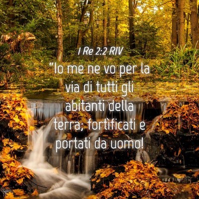 Picture 04 - 1 Re 2:2 RIV - “Io me ne vo per la via di tutti gli abitanti - Bible Verse Picture