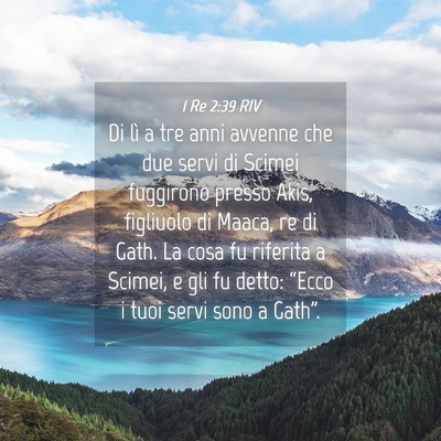 Picture 04 - 1 Re 2:39 RIV - Di lì a tre anni avvenne che due servi di Scimei - Bible Verse Picture