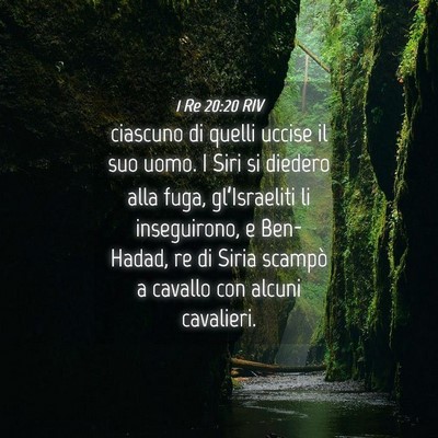 Picture 04 - 1 Re 20:20 RIV - ciascuno di quelli uccise il suo uomo. I Siri si - Bible Verse Picture