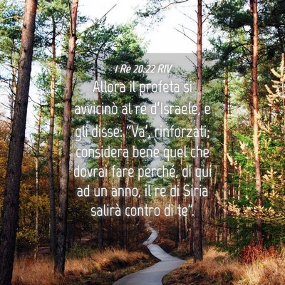 Picture 04 - 1 Re 20:22 RIV - Allora il profeta si avvicinò al re d’Israele, - Bible Verse Picture