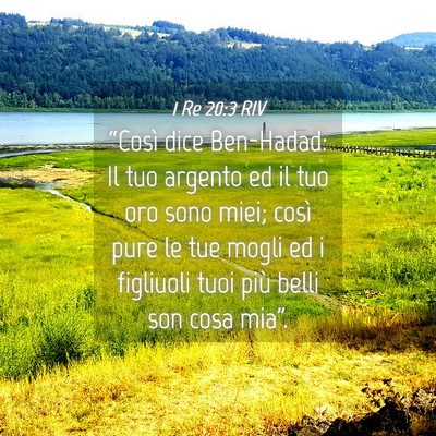Picture 04 - 1 Re 20:3 RIV - “Così dice Ben-Hadad: Il tuo argento ed il tuo - Bible Verse Picture