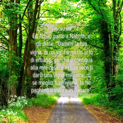 Picture 04 - 1 Re 21:2 RIV - Ed Achab parlò a Naboth, e gli disse: “Dammi - Bible Verse Picture