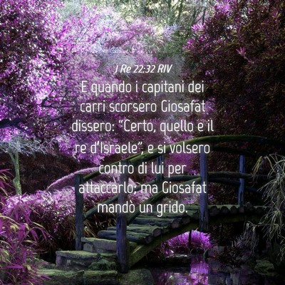 Picture 04 - 1 Re 22:32 RIV - E quando i capitani dei carri scorsero Giosafat - Bible Verse Picture