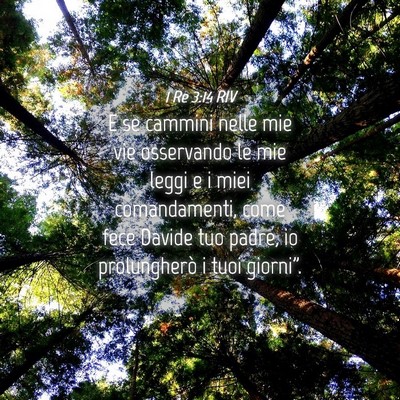 Picture 04 - 1 Re 3:14 RIV - E se cammini nelle mie vie osservando le mie - Bible Verse Picture