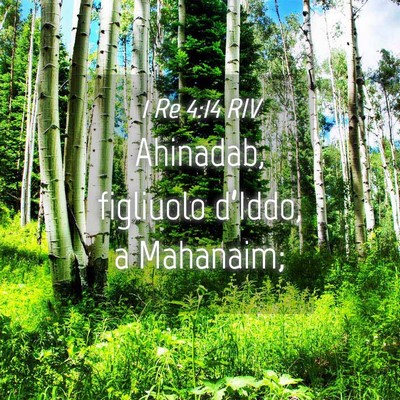 Picture 04 - 1 Re 4:14 RIV - Ahinadab, figliuolo d’Iddo, a - Bible Verse Picture