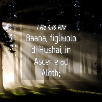 Picture 04 - 1 Re 4:16 RIV - Baana, figliuolo di Hushai, in Ascer e ad - Bible Verse Picture