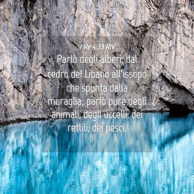 Picture 04 - 1 Re 4:33 RIV - Parlò degli alberi, dal cedro del Libano - Bible Verse Picture