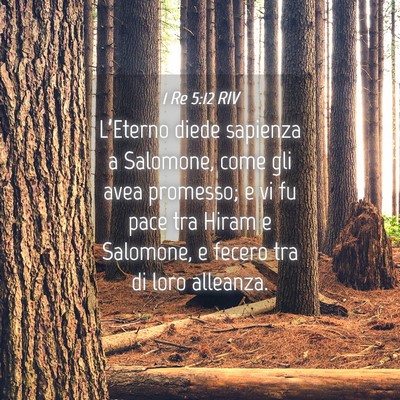 Picture 04 - 1 Re 5:12 RIV - L’Eterno diede sapienza a Salomone, come gli - Bible Verse Picture