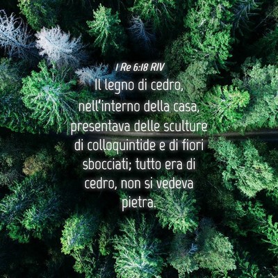 Picture 04 - 1 Re 6:18 RIV - Il legno di cedro, nell’interno della casa, - Bible Verse Picture