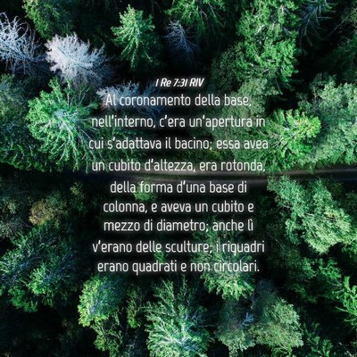 Picture 04 - 1 Re 7:31 RIV - Al coronamento della base, nell’interno, - Bible Verse Picture