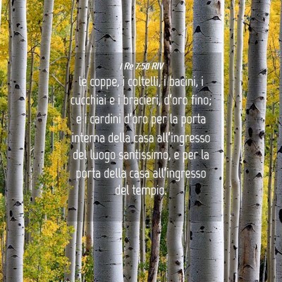 Picture 04 - 1 Re 7:50 RIV - le coppe, i coltelli, i bacini, i cucchiai e i - Bible Verse Picture