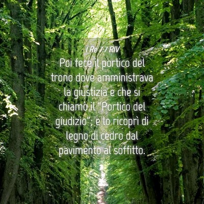 Picture 04 - 1 Re 7:7 RIV - Poi fece il portico del trono dove amministrava - Bible Verse Picture
