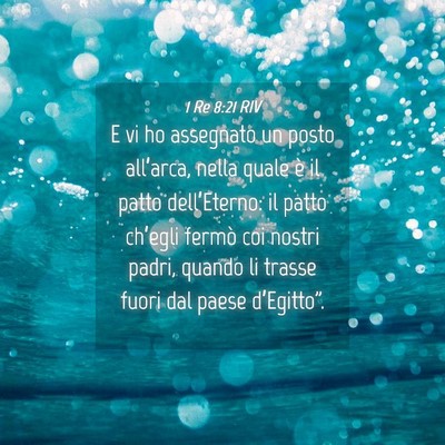 Picture 04 - 1 Re 8:21 RIV - E vi ho assegnato un posto all’arca, nella - Bible Verse Picture