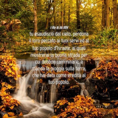 Picture 04 - 1 Re 8:36 RIV - tu esaudiscili dal cielo, perdona il loro peccato - Bible Verse Picture