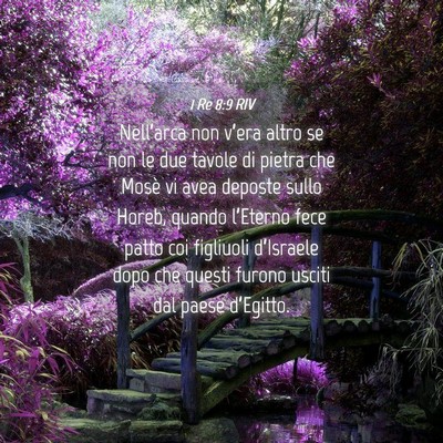 Picture 04 - 1 Re 8:9 RIV - Nell’arca non v’era altro se non le due - Bible Verse Picture