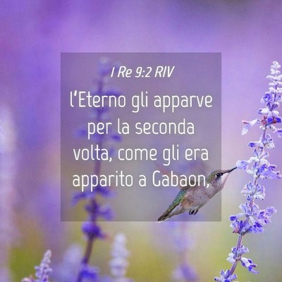 Picture 04 - 1 Re 9:2 RIV - l’Eterno gli apparve per la seconda volta, come - Bible Verse Picture