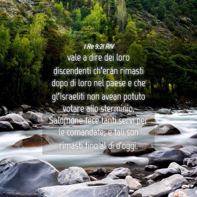 Picture 04 - 1 Re 9:21 RIV - vale a dire dei loro discendenti ch’eran - Bible Verse Picture