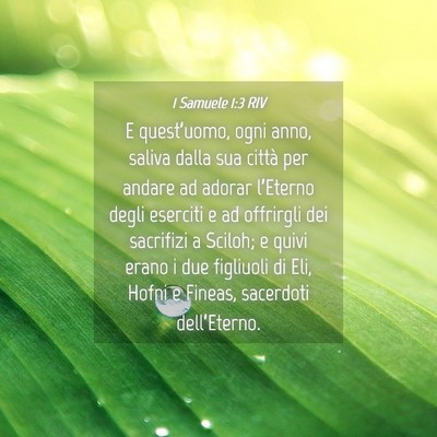 Picture 04 - 1 Samuele 1:3 RIV - E quest’uomo, ogni anno, saliva dalla sua - Bible Verse Picture