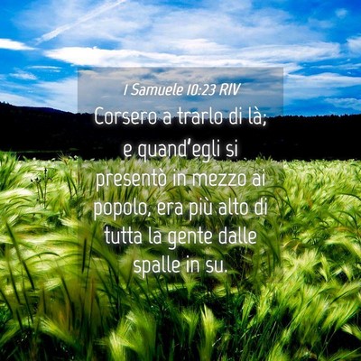 Picture 04 - 1 Samuele 10:23 RIV - Corsero a trarlo di là; e quand’egli si - Bible Verse Picture